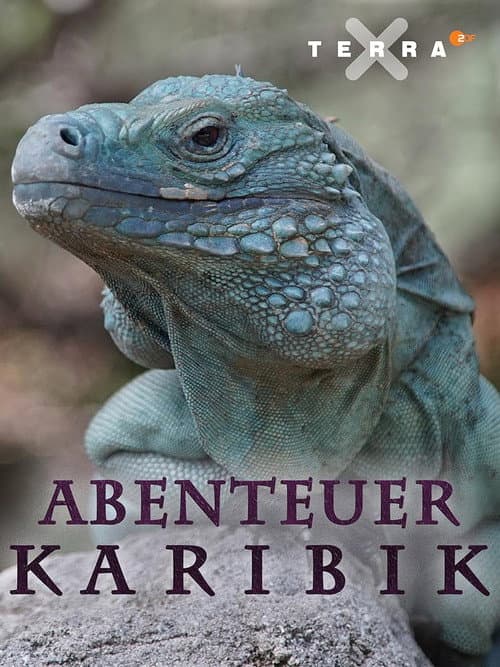 Постер: Abenteuer Karibik
