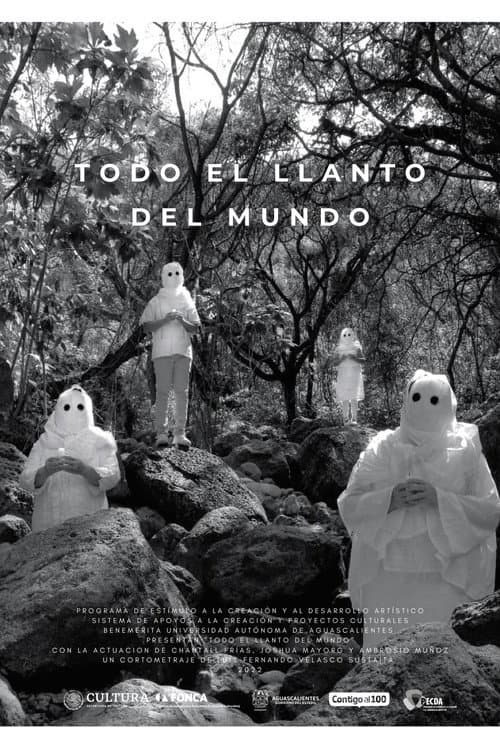 Постер: Todo el llanto del mundo