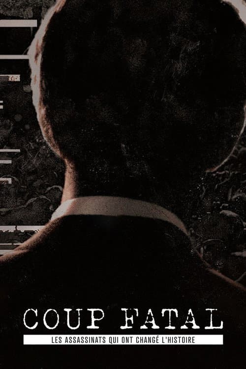Постер: Fatal Shot