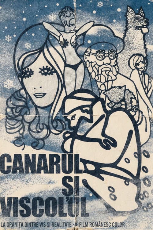 Постер: Canarul și viscolul