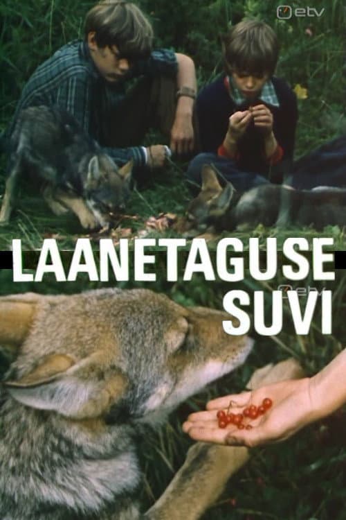 Постер: Laanetaguse suvi