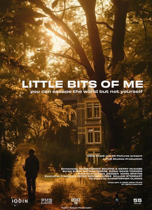 Постер: Little Bits of Me