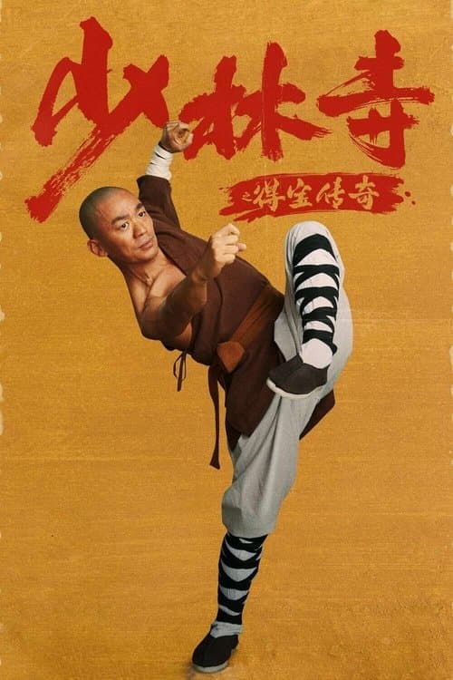Постер: 少林寺之得宝传奇
