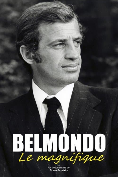 Постер: Belmondo, le magnifique