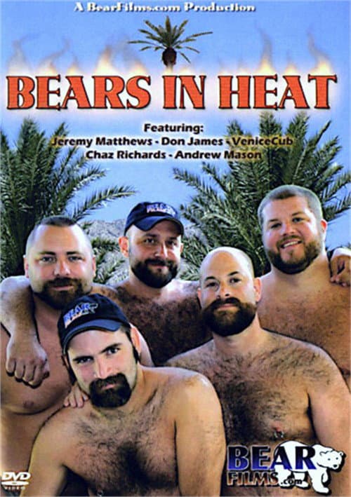 Постер: Bears In Heat