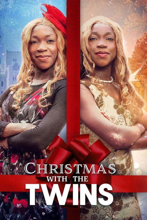 Постер: Christmas with the Twins