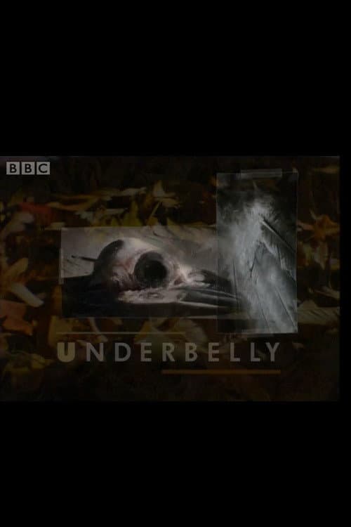 Постер: Underbelly