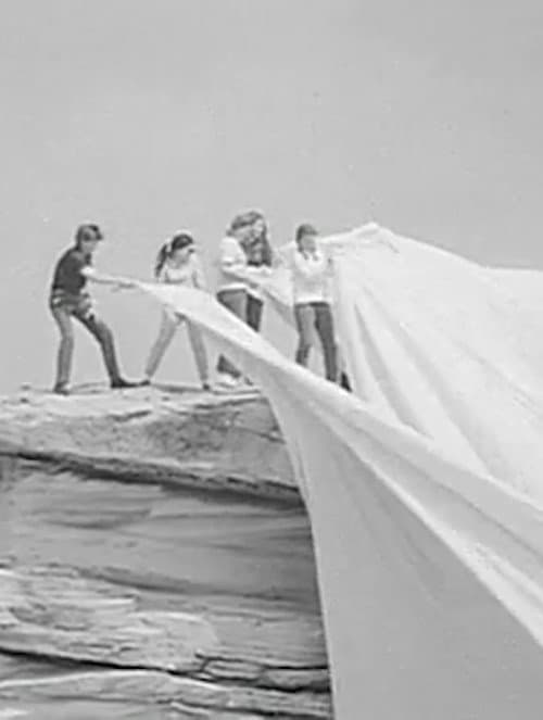 Постер: Operation Wrap Up: Christo In Australia