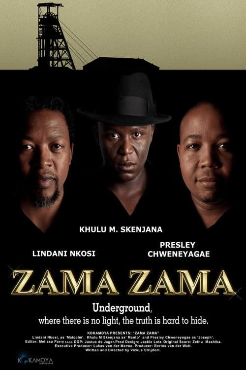Постер: Zama Zama