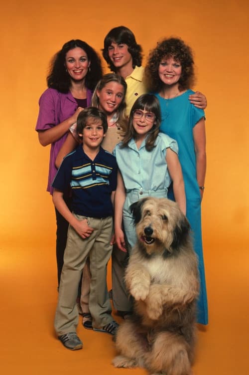 Постер: A New Kind of Family