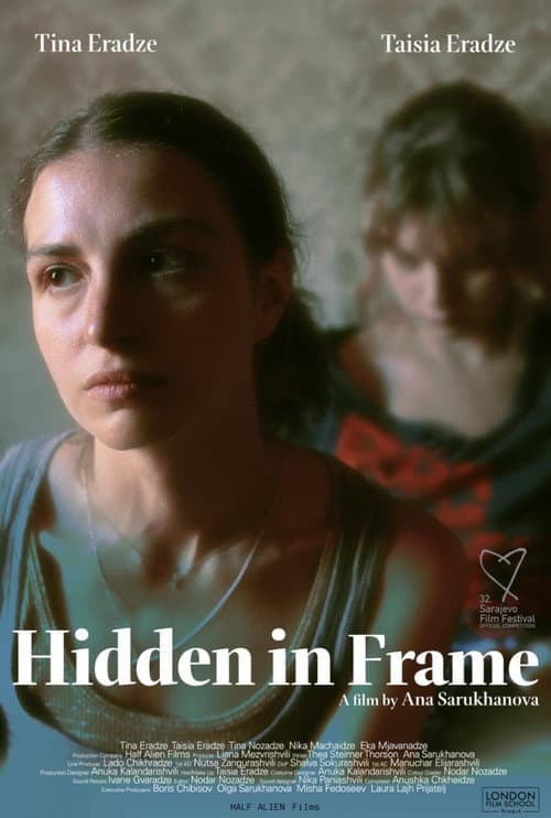 Постер: Hidden in Frame