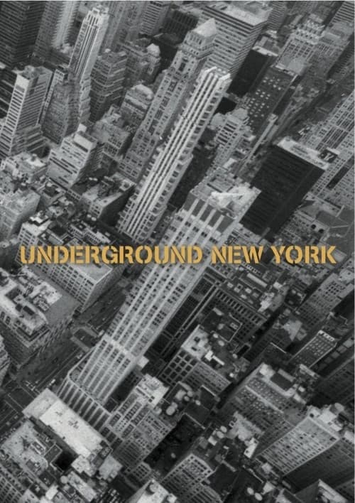 Постер: Underground New York