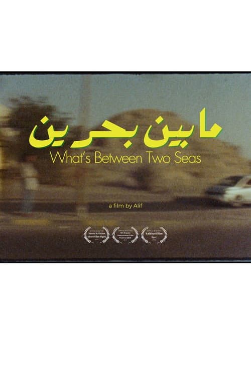 Постер: What’s Between Two Seas