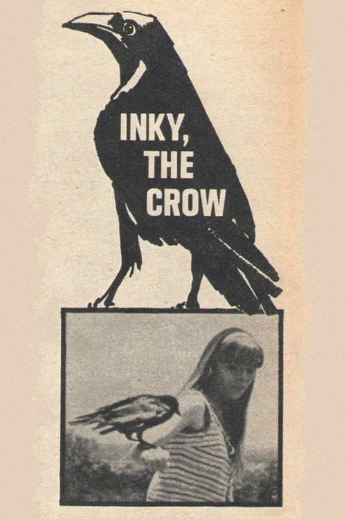 Постер: Inky, the Crow