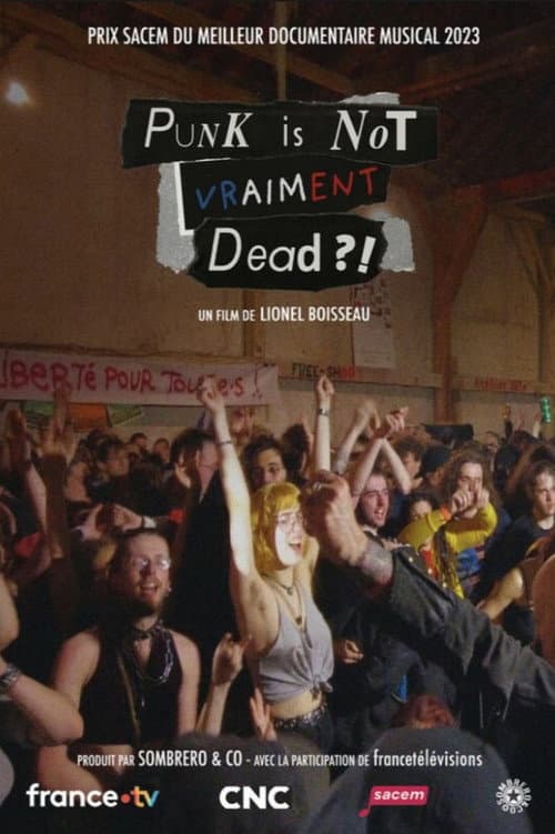 Постер: Punk is not vraiment dead ?!