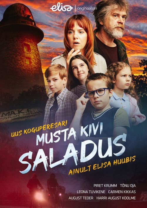 Постер: Musta kivi saladus