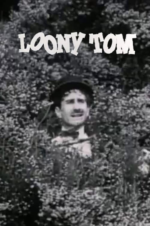 Постер: Loony Tom the Happy Lover