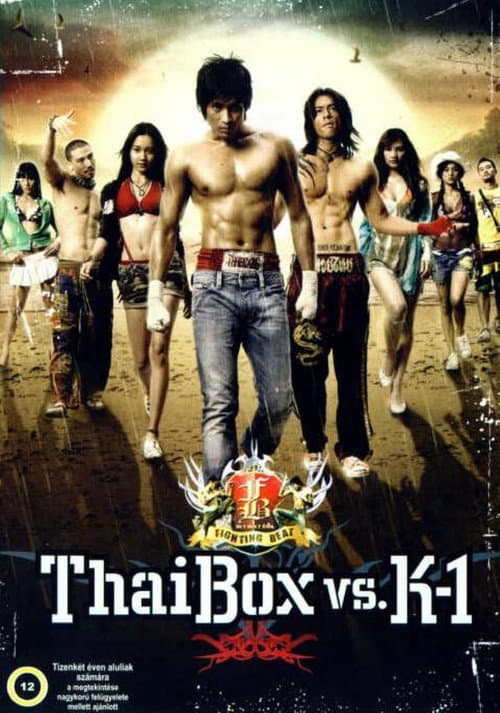 Постер: อก 3 ศอก 2 กำปั้น