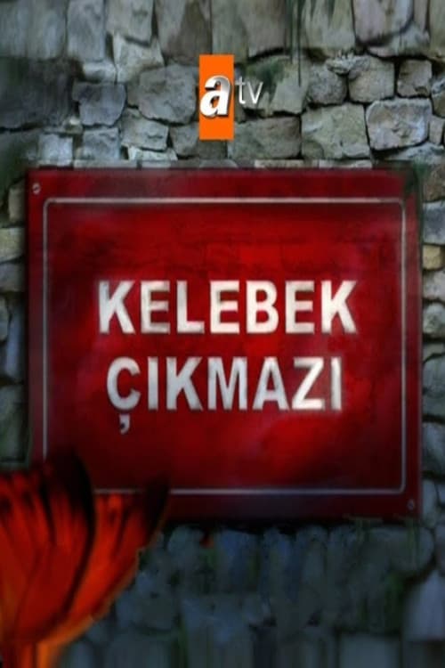 Постер: Kelebek Çıkmazı