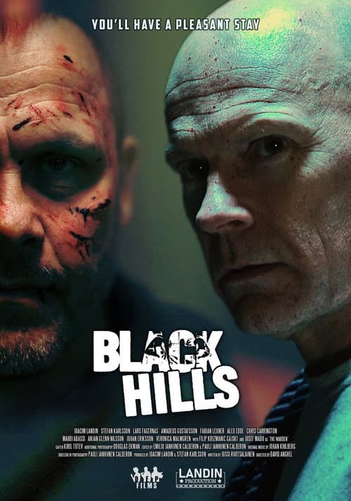 Постер: Black Hills