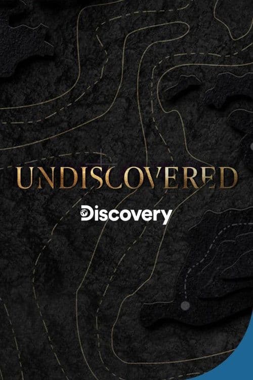Постер: Undiscovered