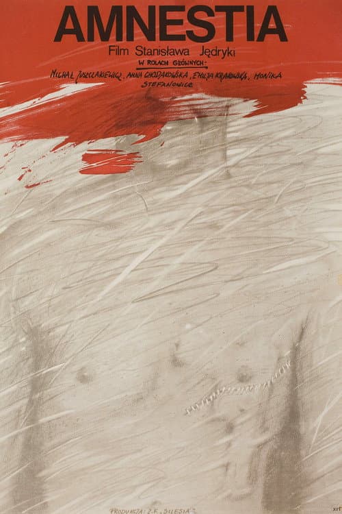 Постер: Amnestia