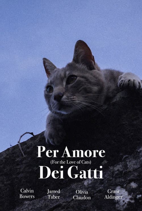 Постер: Per Amore Dei Gatti
