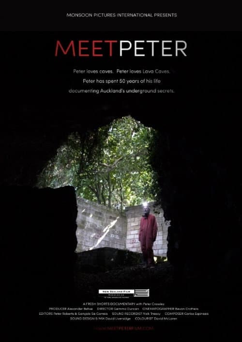 Постер: Meet Peter