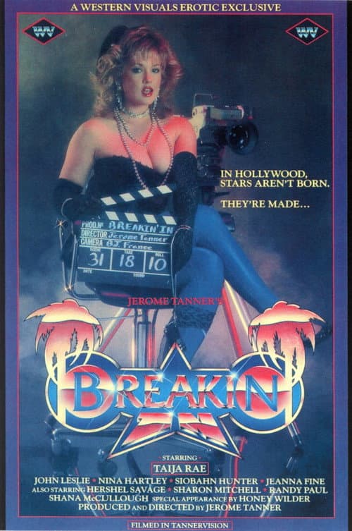 Постер: Breakin In