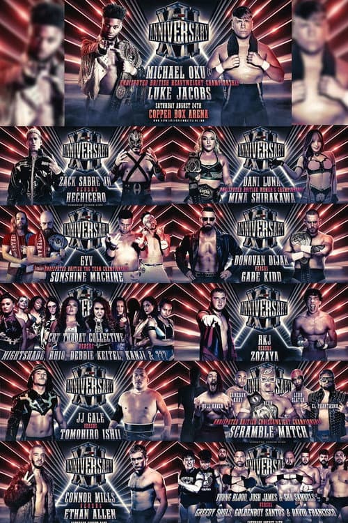 Постер: RevPro 12 Year Anniversary Show