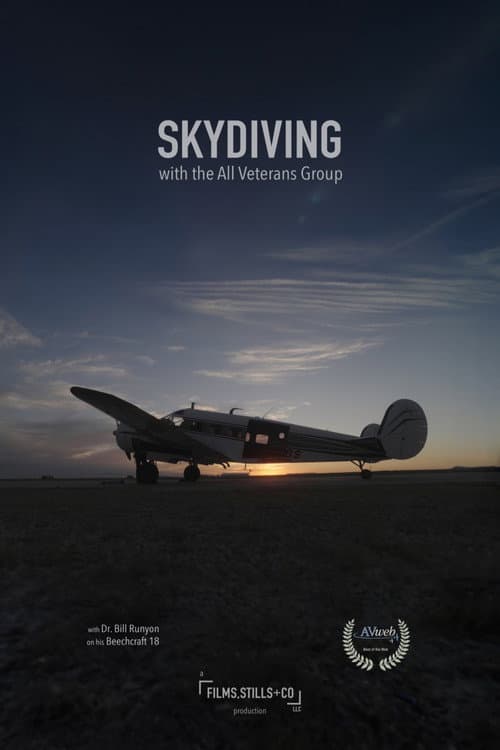 Постер: Skydiving with the All Veteran Group