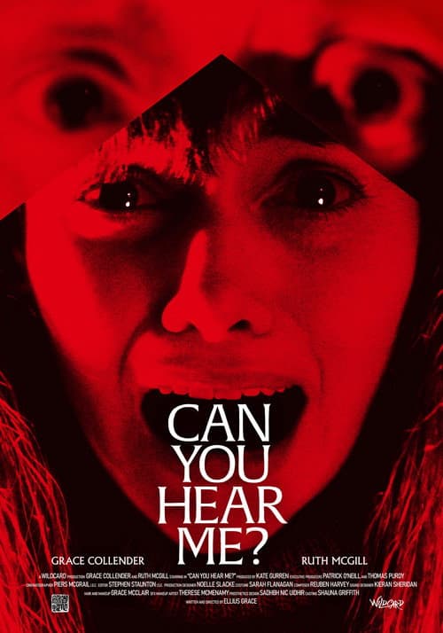 Постер: Can You Hear Me?