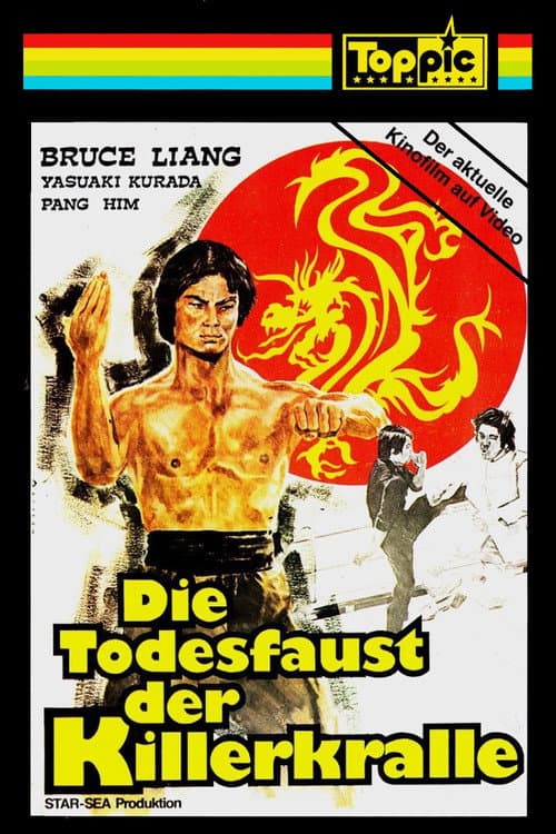 Постер: 神拳飛龍