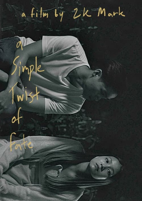 Постер: A Simple Twist of Fate