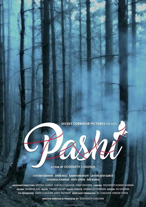 Постер: Pashi
