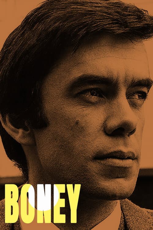 Постер: Boney