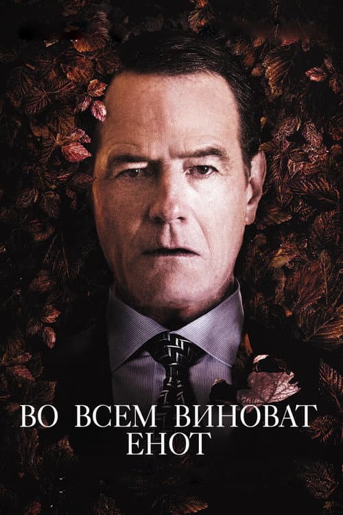 Постер: Во всём виноват енот