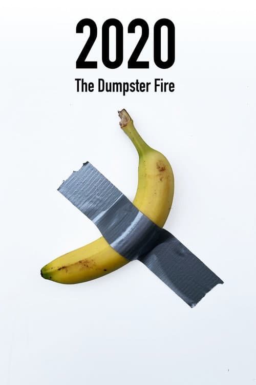 Постер: 2020: The Dumpster Fire