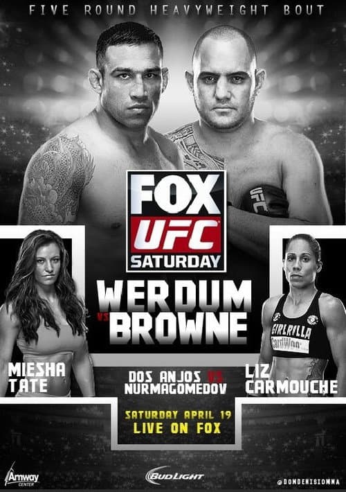Постер: UFC on Fox 11: Werdum vs. Browne