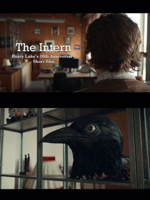 Постер: The Intern