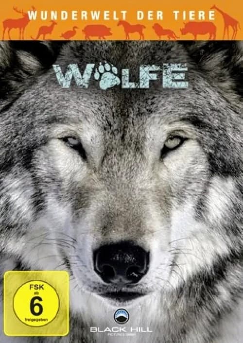 Постер: Wunderwelt der Tiere - Wölfe