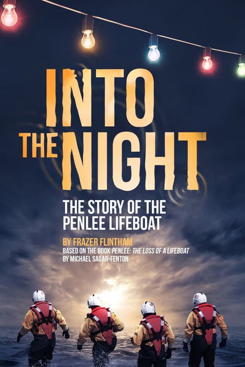 Постер: Into the Night