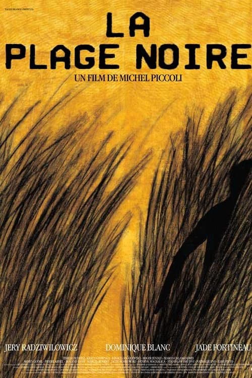 Постер: La Plage noire