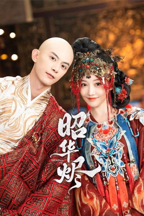 Постер: 昭华烬