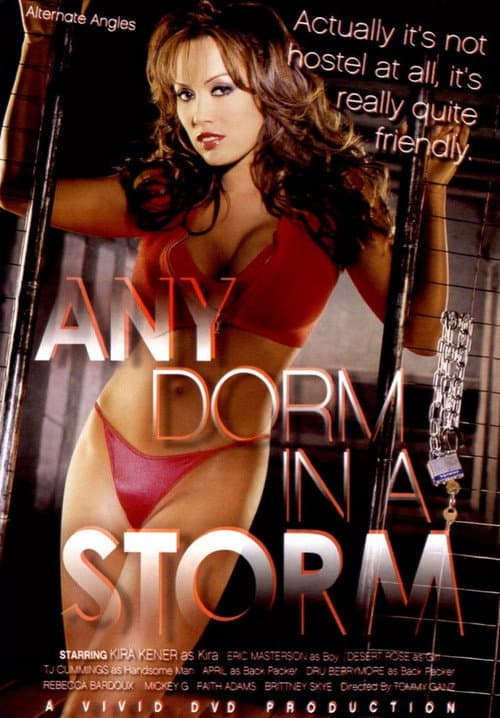 Постер: Any Dorm in a Storm