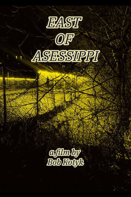 Постер: East of Asessippi