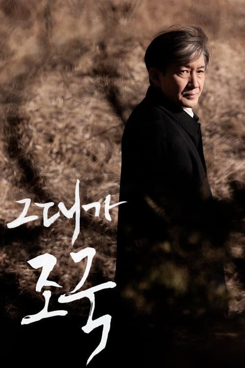 Постер: 그대가 조국