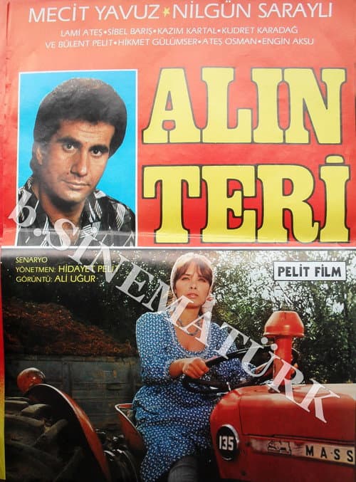 Постер: Alın Teri