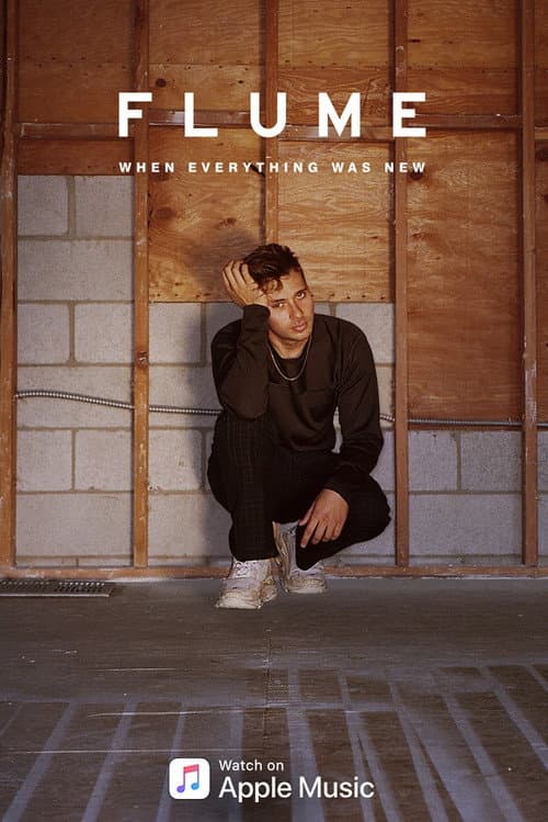 Постер: Flume: When Everything Was New