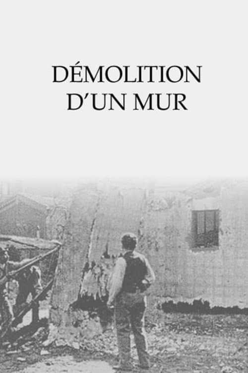 Постер: Démolition d'un mur